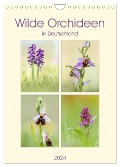 Wilde Orchideen in Deutschland 2024 (Wandkalender 2024 DIN A4 hoch), CALVENDO Monatskalender - Daniela Beyer (Moqui)