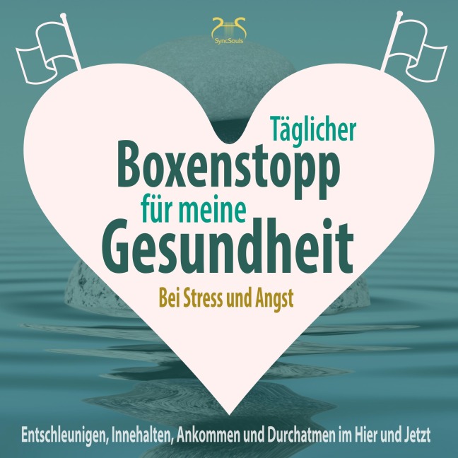 Täglicher Boxenstopp für meine Gesundheit! Entschleunigen, Innehalten, Ankommen und Durchatmen im Hier und Jetzt - Torsten Abrolat, Franziska Diesmann