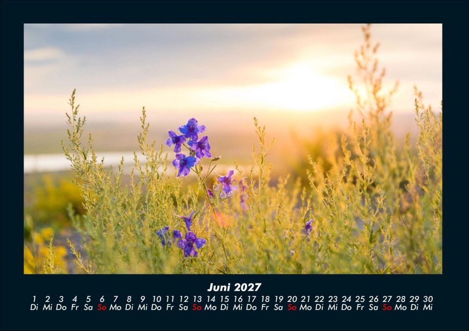 InsideView 10