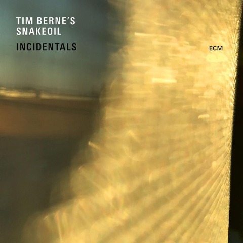 Incidentals - Tim Berne's Snakeoil
