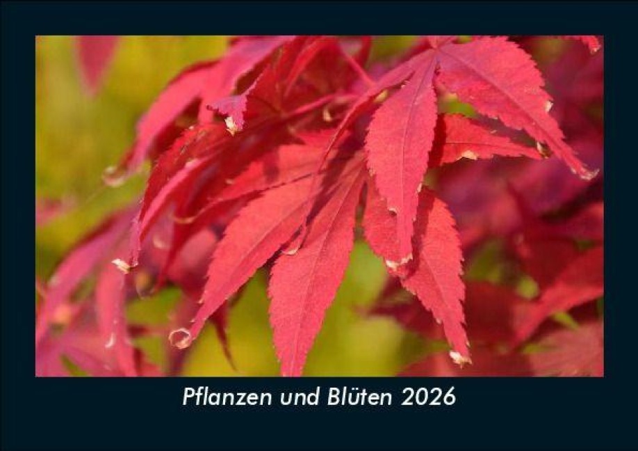 Pflanzen und Blüten 2026 Fotokalender DIN A5 - Tobias Becker