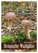 Cover-Bild zum Titel 'Heimische Waldpilze (Wandkalender 2026 DIN A2 hoch), CALVENDO Monatskalender' von 'LianeM LianeM'