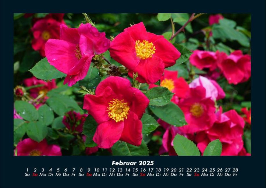 InsideView 6