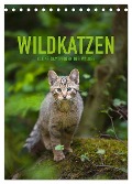 Wildkatzen - Kleine Samtpfoten des Waldes (Tischkalender 2025 DIN A5 hoch), CALVENDO Monatskalender - Christina Krutz