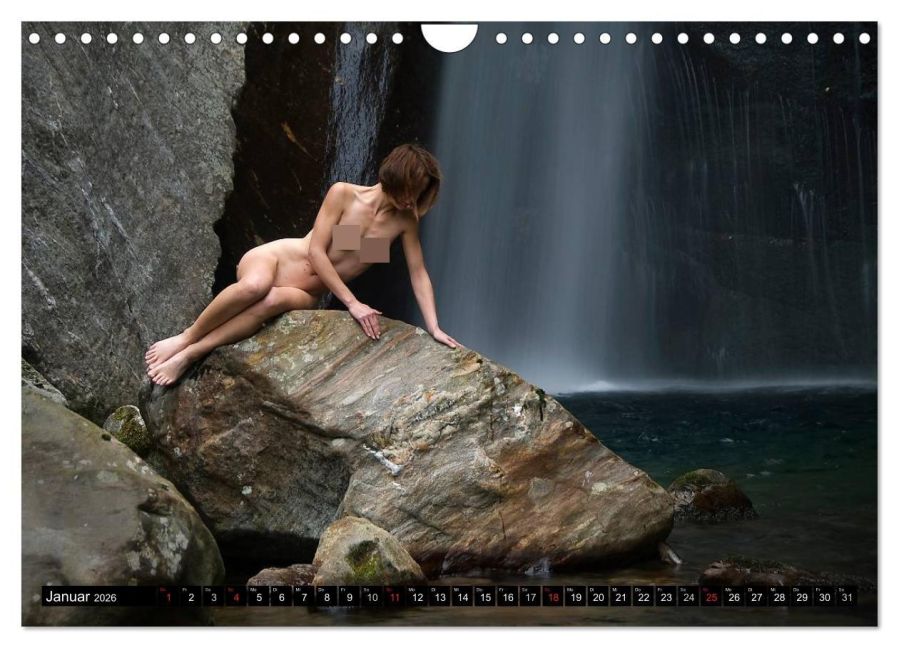 InsideView 6
