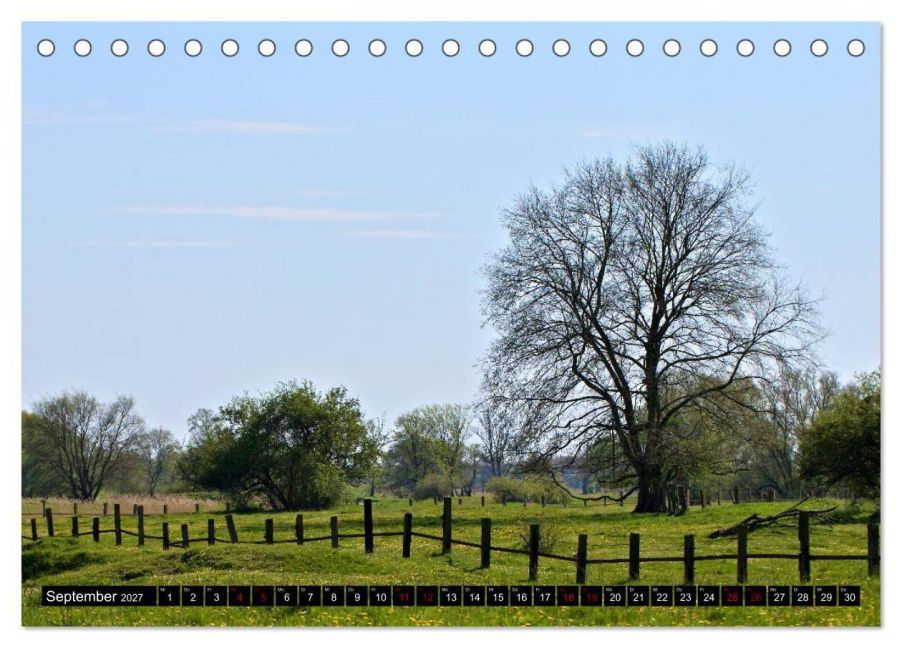 InsideView 14