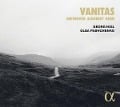 Cover-Bild zum Titel 'Vanitas-Stücke von Beethoven,Schubert & Rihm' von 'Georg/Pashchenko Nigl'