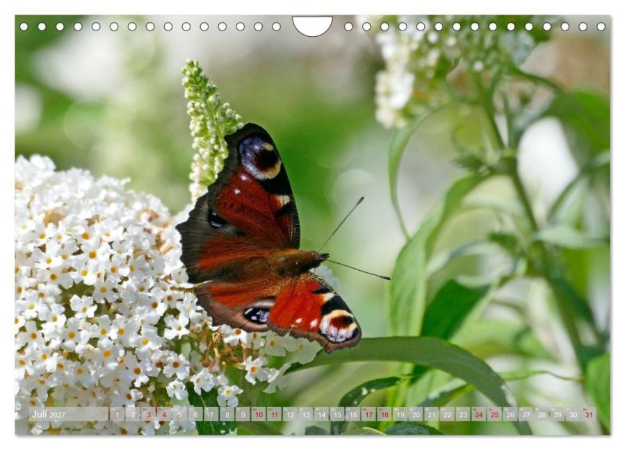 InsideView 12