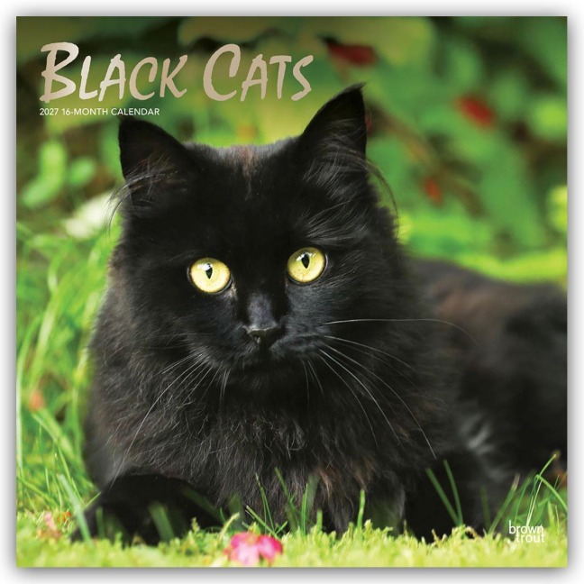 Black Cats - Schwarze Katzen 2027 - 16-Monatskalender - Browntrout Publishers