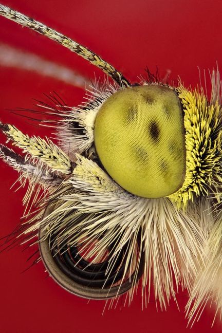 InsideView 2