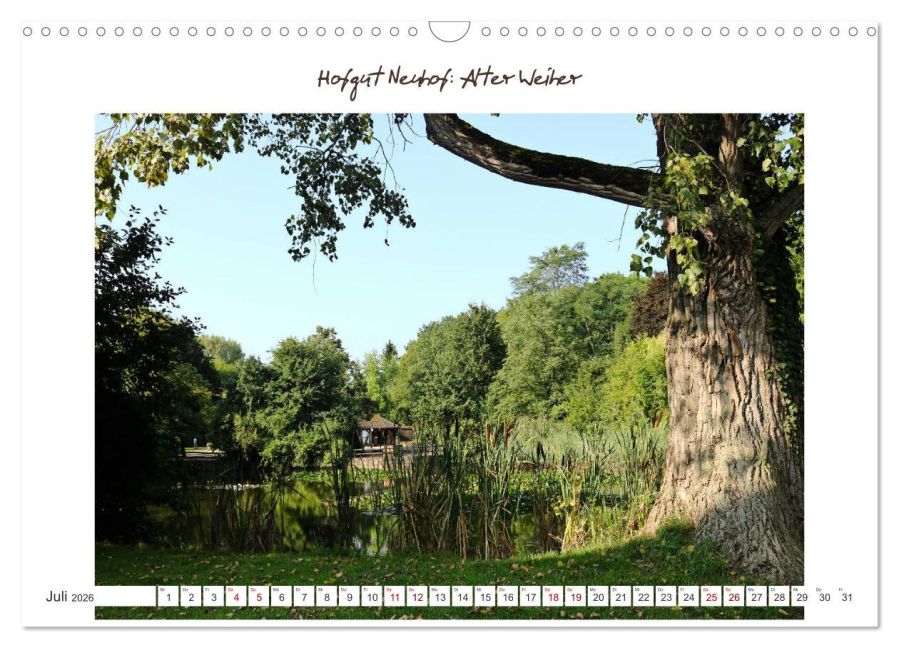 InsideView 12