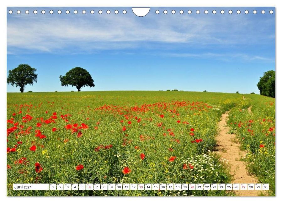 InsideView 11