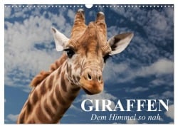 Giraffen. Dem Himmel so nah (Wandkalender 2025 DIN A3 quer), CALVENDO Monatskalender - Elisabeth Stanzer