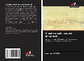 Cover-Bild zum Titel 'Plastica nell'uso dei materiali' von 'Laurent Reynes'