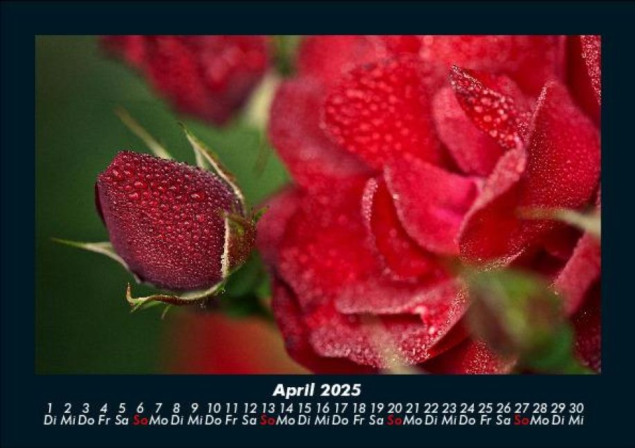 InsideView 8
