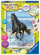 Pferd am Strand. Malen nach Zahlen Serie D Pferde - 