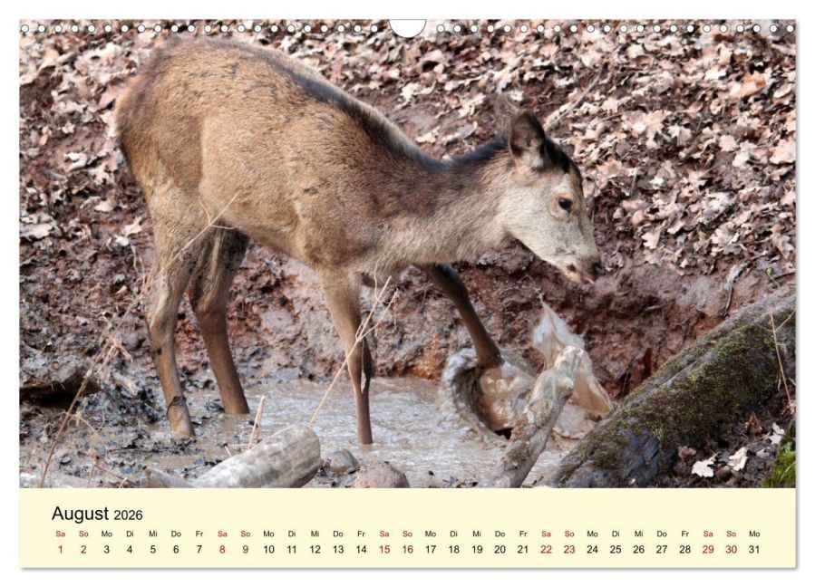 InsideView 13