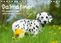 Cover-Bild zum Titel 'Dalmatiner - Ein immerwährender Geburtstags-Kalender (Tischkalender immerwährend DIN A5 quer)' von 'Judith Dzierzawa'
