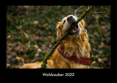 Waldzauber 2022 Fotokalender DIN A3 - Tobias Becker