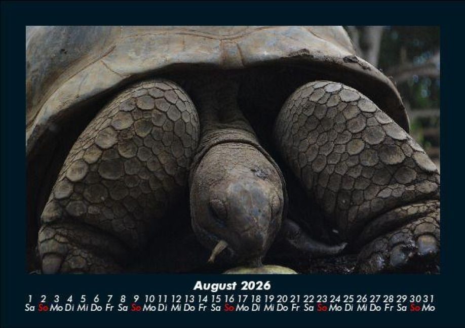 InsideView 12
