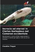 Incrocio ed eterosi in Clarias Gariepinus nel Camerun occidentale - Claudine Tiogué