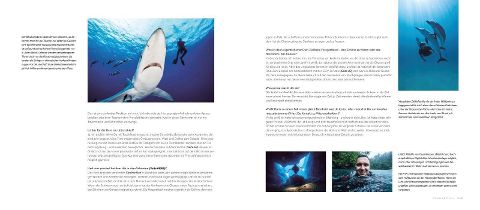 InsideView 4