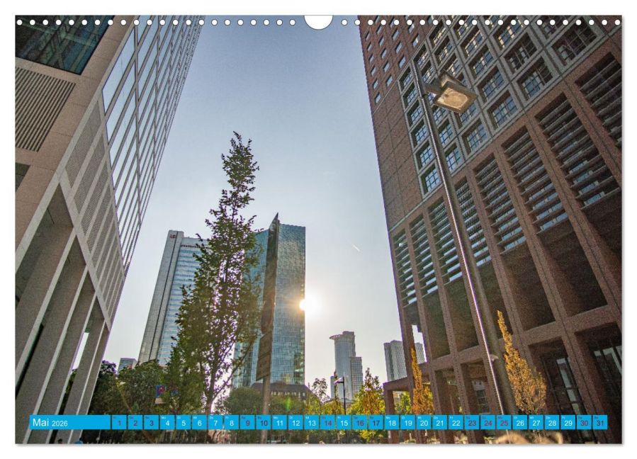 InsideView 10