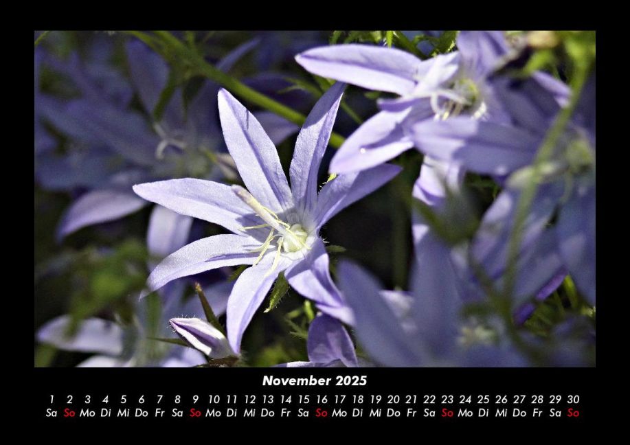 InsideView 3