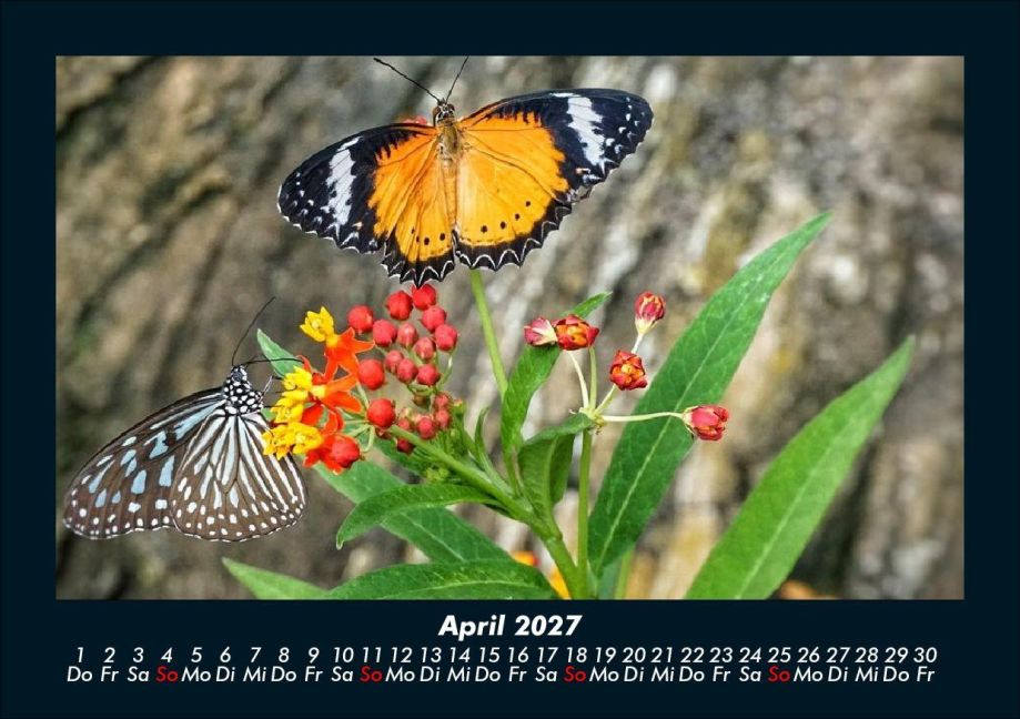 InsideView 8