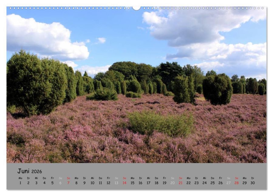 InsideView 11