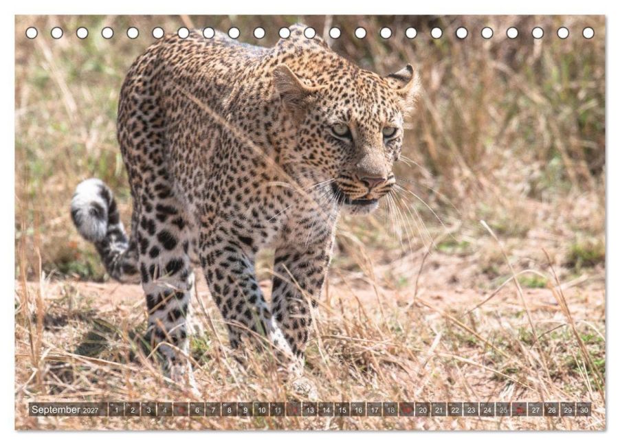 InsideView 14