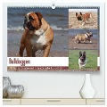 Bulldoggen - Englische und Französische Bulldoggen (hochwertiger Premium Wandkalender 2025 DIN A2 quer), Kunstdruck in Hochglanz - Chawera Chawera