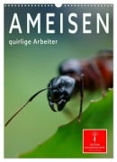 Cover-Bild zum Titel 'Ameisen quirlige Arbeiter (Wandkalender 2026 DIN A3 hoch), CALVENDO Monatskalender' von 'Peter Roder'