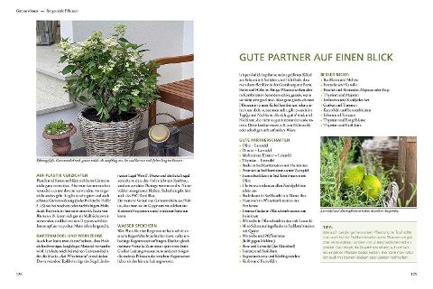InsideView 5