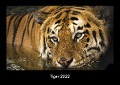 Tiger 2022 Fotokalender DIN A3 - Tobias Becker
