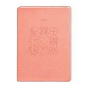 Cover-Bild zum Titel 'Terminplaner Lederlook 2026 Peach' von ''