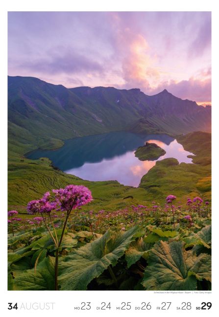InsideView 35
