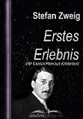 Cover-Bild zum Titel 'Erstes Erlebnis' von 'Stefan Zweig'