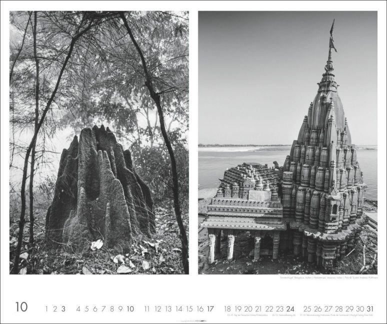 InsideView 10
