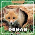 Cover-Bild zum Titel 'Orman - Hayvanlar Dünyasi' von 'Kolektif'