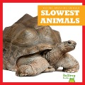 Slowest Animals - Lily Austen