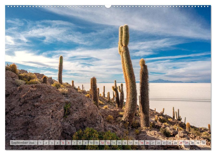 InsideView 14