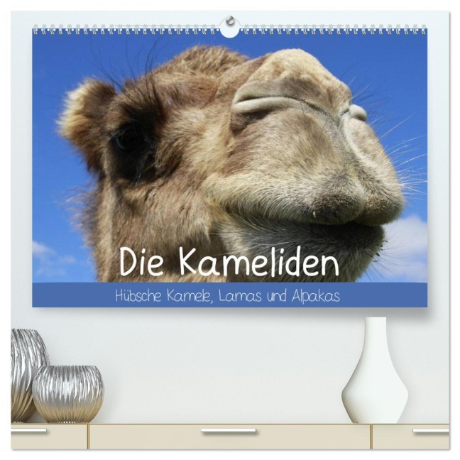 Die Kameliden. Hübsche Kamele, Lamas und Alpakas (hochwertiger Premium Wandkalender 2026 DIN A2 quer), Kunstdruck in Hochglanz - Elisabeth Stanzer