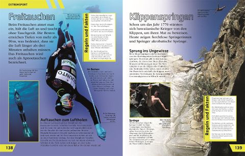 InsideView 6