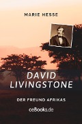 Cover-Bild zum Titel 'David Livingstone' von 'Marie Hesse'