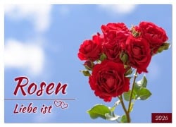 Cover-Bild zum Titel 'Rosen, Liebe ist (Wandkalender 2026 DIN A4 quer), CALVENDO Monatskalender' von 'Rainer Plett'