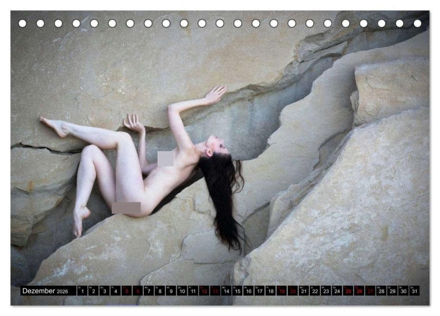 InsideView 4