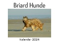 Cover-Bild zum Titel 'Briard Hunde (Wandkalender 2024, Kalender DIN A4 quer, Monatskalender im Querformat mit Kalendarium, Das perfekte Geschenk)' von 'Anna Müller'