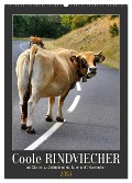 Coole Rindviecher (Wandkalender 2024 DIN A2 hoch), CALVENDO Monatskalender - Sabine Löwer
