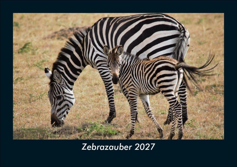 Zebrazauber 2027 Fotokalender DIN A5 - Tobias Schmitt, Kevin Heber